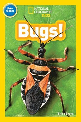 National Geographic Kids, Shira Evans - National Geographic Kids Readers: Bugs, Häftad
