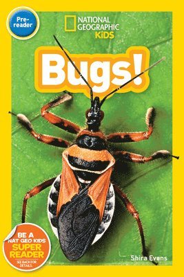 National Geographic Kids Readers: Bugs (Pre-Reader) 1