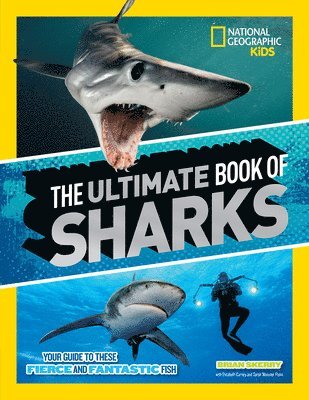 bokomslag The Ultimate Book of Sharks