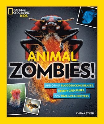 Animal Zombies! 1