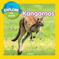 bokomslag Explore My World: Kangaroos