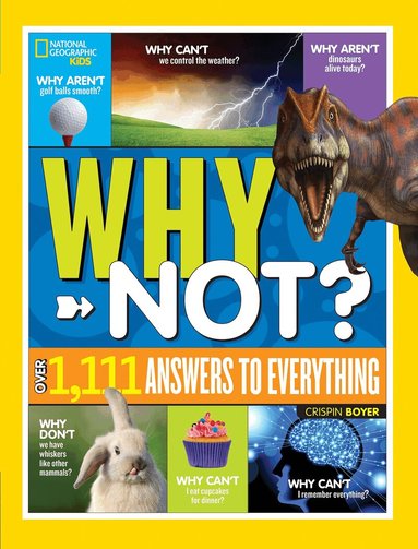 National Geographic Kids, Crispin Boyer - National Geographic Kids Why Not?, Inbunden