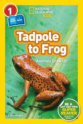 National Geographic Kids Readers: Tadpole to Frog (L1/Co-reader) 1