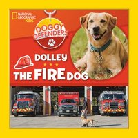 bokomslag Dolley the Fire Dog