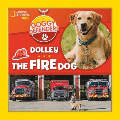Dolley the Fire Dog 1