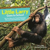 bokomslag Little Larry Goes to School