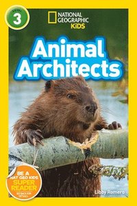 bokomslag Animal Architects (National Geographic Kids Readers, Level 3)