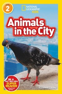 bokomslag Animals in the City (L2)