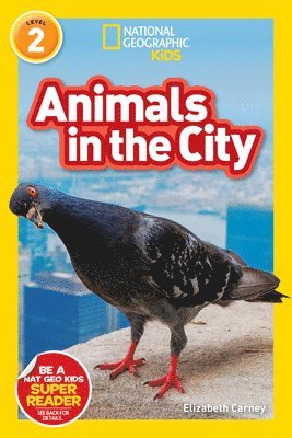 Animals in the City (L2) 1