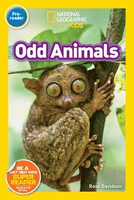 bokomslag Odd Animals (National Geographic Kids Readers, Pre-Reader)