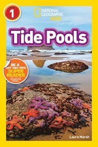 bokomslag Tide Pools (L1)
