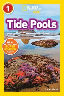 bokomslag Tide Pools (L1)