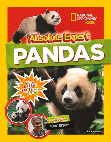 National Geographic Kids, Ruth Strother, Marc Brody, Angela Modany - Absolute expert: Pandas, Inbunden