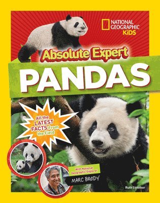 Absolute expert: Pandas 1