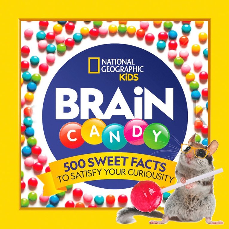 Brain Candy 1