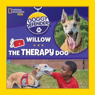 Willow the Therapy Dog 1