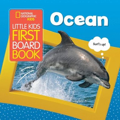 bokomslag Little Kids First Board Book Ocean