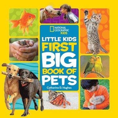 bokomslag Little Kids First Big Book of Pets