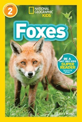 bokomslag Foxes (National Geographic Kids Readers, Level 2)