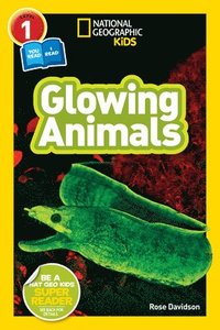 bokomslag Glowing Animals (L1/Co-Reader)