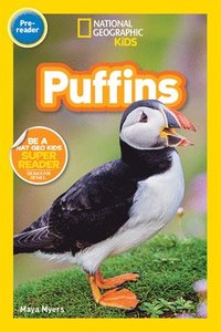 bokomslag Puffins (Pre-Reader)