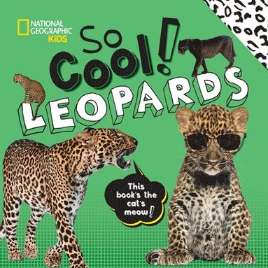 bokomslag So Cool! Leopards