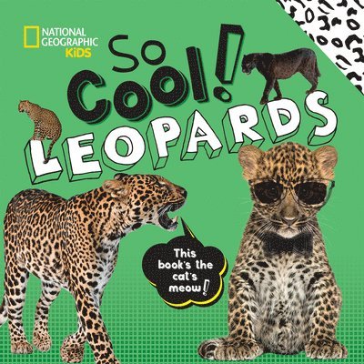 So Cool! Leopards 1