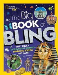 bokomslag The Big Book of Bling
