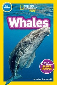 bokomslag Whales (Pre-Reader)