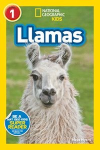 bokomslag Llamas (L1)