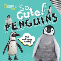 bokomslag So Cute: Penguins