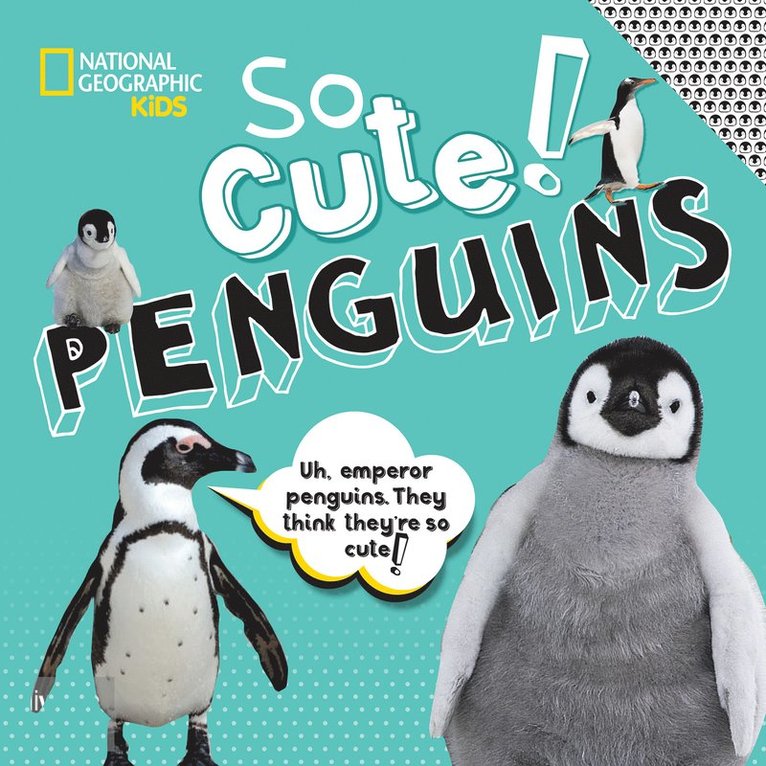 National Geographic Kids, Crispin Boyer - So Cute: Penguins, Inbunden