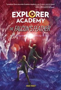 bokomslag The Falcons Feather Book 2
