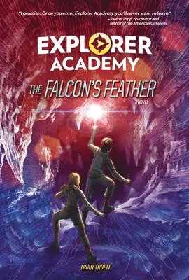 bokomslag Falcon's Feather Book 2