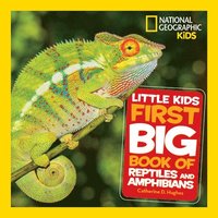 bokomslag Little Kids First Big Book of Reptiles and Amphibians