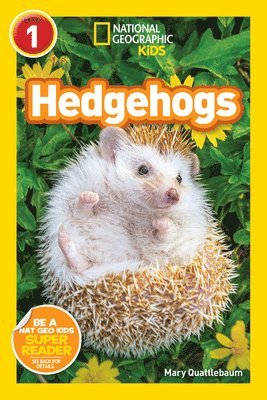 Hedgehogs (National Geographic Kids Readers, Level 1)