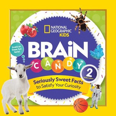 bokomslag Brain Candy 2