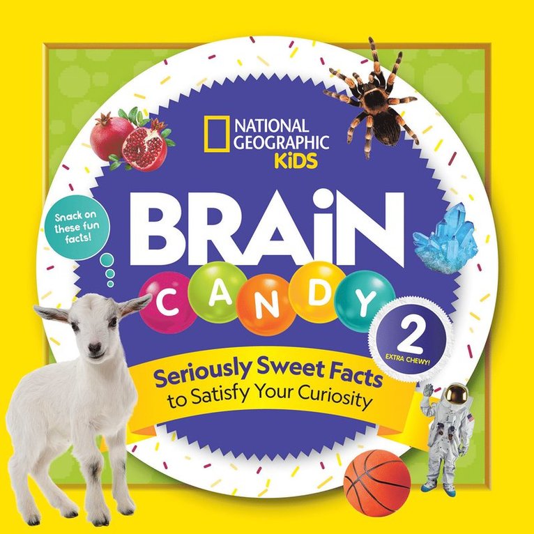 Brain Candy 2 1