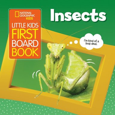 bokomslag Little Kids First Board Book Insects