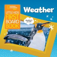 bokomslag Little Kids First Board Book Weather