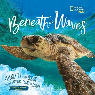 Stephanie Warren Drimmer - Beneath the Waves, Inbunden