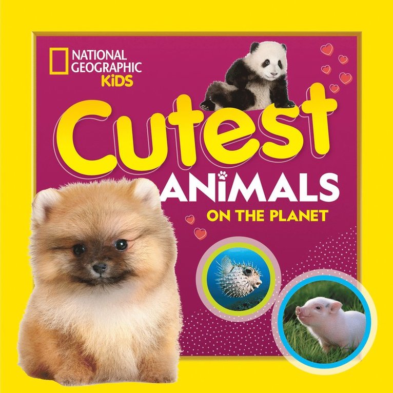 National Geographic Kids, Jennifer Szymanski, National Geographic Kids - Cutest Animals on the Planet, Häftad