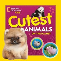 bokomslag Cutest Animals on the Planet