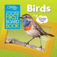 bokomslag Little Kids First Board Book: Birds