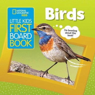 bokomslag Little Kids First Board Book: Birds