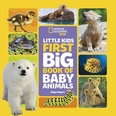 bokomslag National Geographic Little Kids First Big Book of Baby Animals