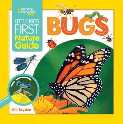 Little Kids First Nature Guide Bugs 1