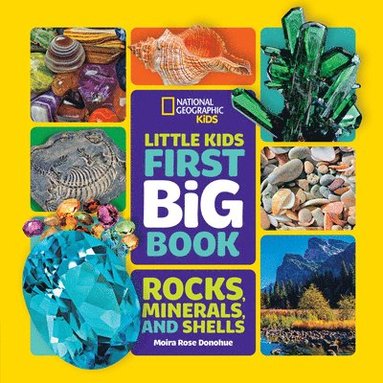 bokomslag National Geographic Little Kids First Big Book of Rocks, Minerals & Shells