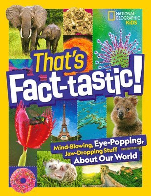 That’s Fact-Tastic!