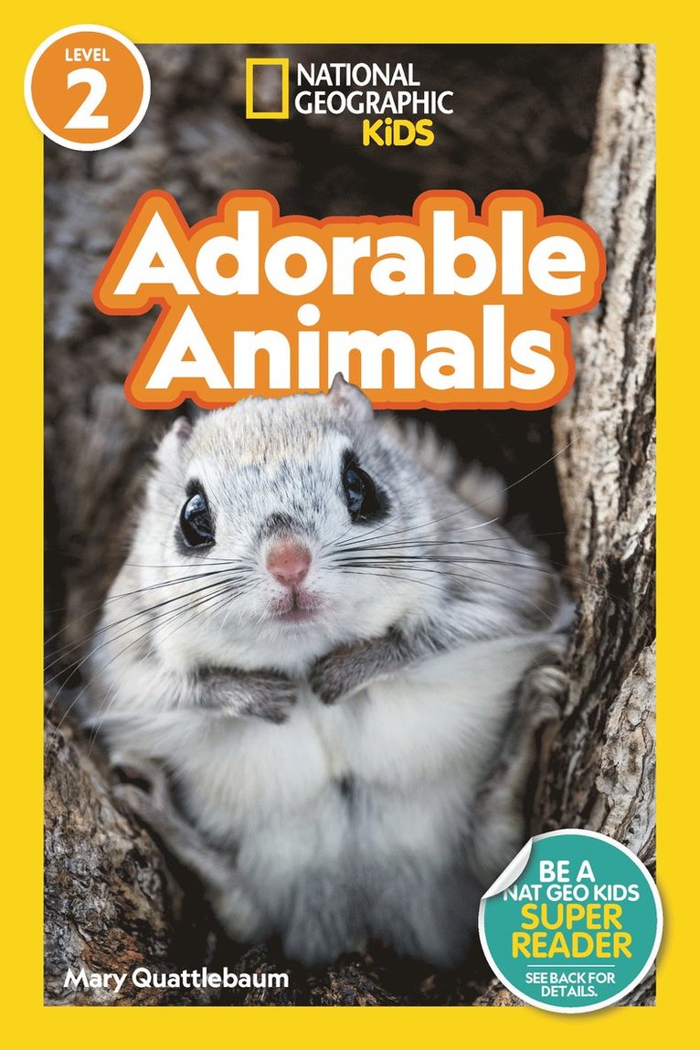 Adorable Animals